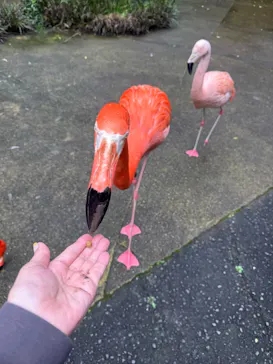 長崎バイオパークに投稿された画像（2026/4/15）