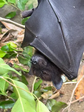 長崎バイオパークに投稿された画像（2026/4/15）