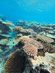 石垣島 ADVENTURE PiPi（イシガキジマアドベンチャーピピ）に投稿された画像（2026/4/15）