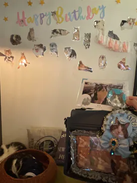 猫カフェモカ　池袋東口店に投稿された画像（2026/4/15）