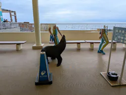 新江ノ島水族館に投稿された画像（2026/4/15）