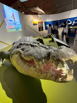 特別展「超危険生物展　科学で挑む生き物の本気」に投稿された画像（2026/4/15）