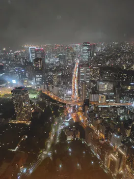 東京タワーに投稿された画像（2026/4/15）