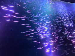 名古屋港水族館に投稿された画像（2026/4/16）