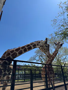 宇都宮動物園に投稿された画像（2026/4/16）
