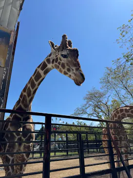 宇都宮動物園に投稿された画像（2026/4/16）