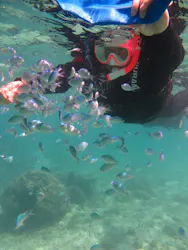 Okinawan supに投稿された画像（2026/4/16）