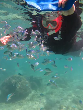 Okinawan supに投稿された画像（2026/4/16）