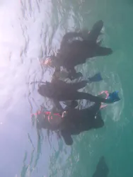 Okinawan supに投稿された画像（2026/4/16）