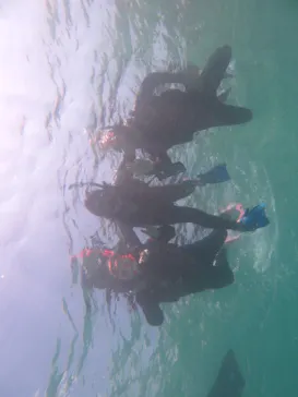 Okinawan supに投稿された画像（2026/4/16）