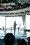 アクアワールド茨城県大洗水族館に投稿された画像（2026/4/16）