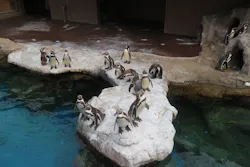 アクアワールド茨城県大洗水族館に投稿された画像（2026/4/16）