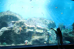 アクアワールド茨城県大洗水族館に投稿された画像（2026/4/16）
