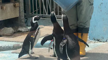 宇都宮動物園に投稿された画像（2026/4/16）