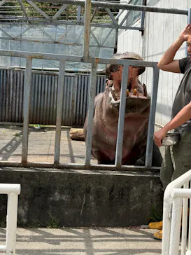 宇都宮動物園に投稿された画像（2026/4/16）