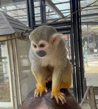 宇都宮動物園に投稿された画像（2026/4/16）