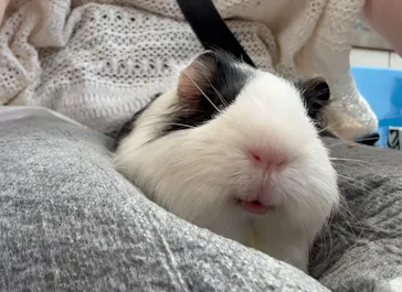 宇都宮動物園に投稿された画像（2026/4/16）