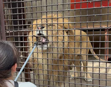 宇都宮動物園に投稿された画像（2026/4/16）