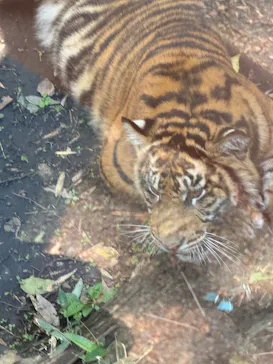 恩賜上野動物園に投稿された画像（2026/4/16）