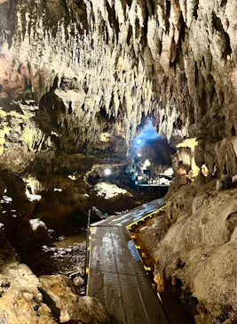 CAVE OKINAWAに投稿された画像（2026/4/16）