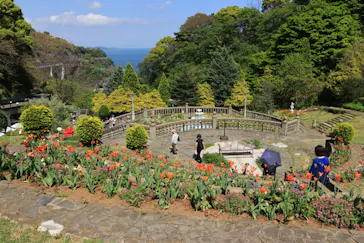 ACAO FORESTに投稿された画像（2026/4/16）