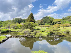 新宿御苑に投稿された画像（2026/4/16）
