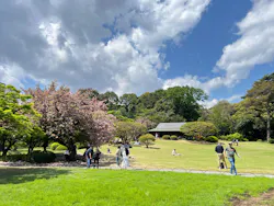 新宿御苑に投稿された画像（2026/4/16）