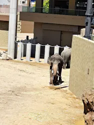 天王寺動物園に投稿された画像（2026/4/16）
