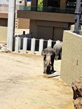 天王寺動物園に投稿された画像（2026/4/16）