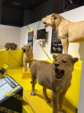 特別展「超危険生物展　科学で挑む生き物の本気」に投稿された画像（2026/4/16）