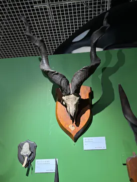 特別展「超危険生物展　科学で挑む生き物の本気」に投稿された画像（2026/4/16）