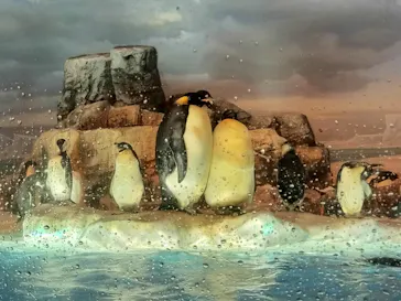 名古屋港水族館に投稿された画像（2026/4/16）