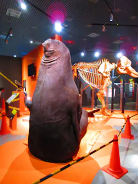 特別展「超危険生物展　科学で挑む生き物の本気」に投稿された画像（2026/4/16）