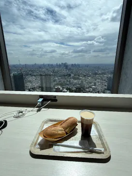 サンシャイン60展望台に投稿された画像（2026/4/16）