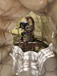 ニジゲンノモリに投稿された画像（2026/4/16）