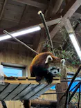 伊豆シャボテン動物公園に投稿された画像（2026/4/16）
