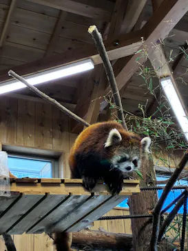 伊豆シャボテン動物公園に投稿された画像（2026/4/16）
