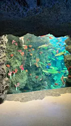 鴨川シーワールドに投稿された画像（2026/4/16）