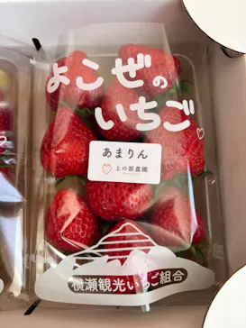 上の原農園に投稿された画像（2026/4/16）