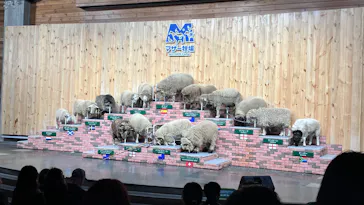 マザー牧場に投稿された画像（2026/4/16）