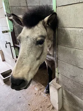 マザー牧場に投稿された画像（2026/4/16）