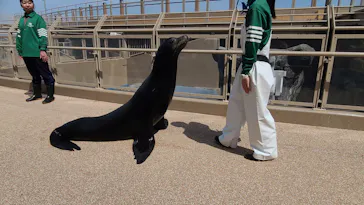 アクアワールド茨城県大洗水族館に投稿された画像（2026/4/16）
