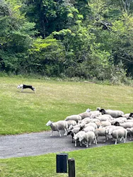 マザー牧場に投稿された画像（2026/4/16）