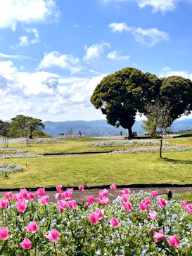 マザー牧場に投稿された画像（2026/4/16）