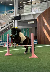 ノーザンホースパークに投稿された画像（2026/4/16）