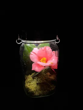 六義園に投稿された画像（2026/4/16）