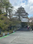 鶴ヶ城に投稿された画像（2026/4/17）