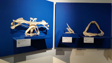 特別展「超危険生物展　科学で挑む生き物の本気」に投稿された画像（2026/4/17）