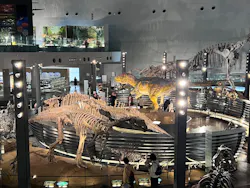 福井県立恐竜博物館に投稿された画像（2026/4/17）