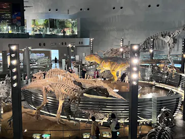 福井県立恐竜博物館に投稿された画像（2026/4/17）